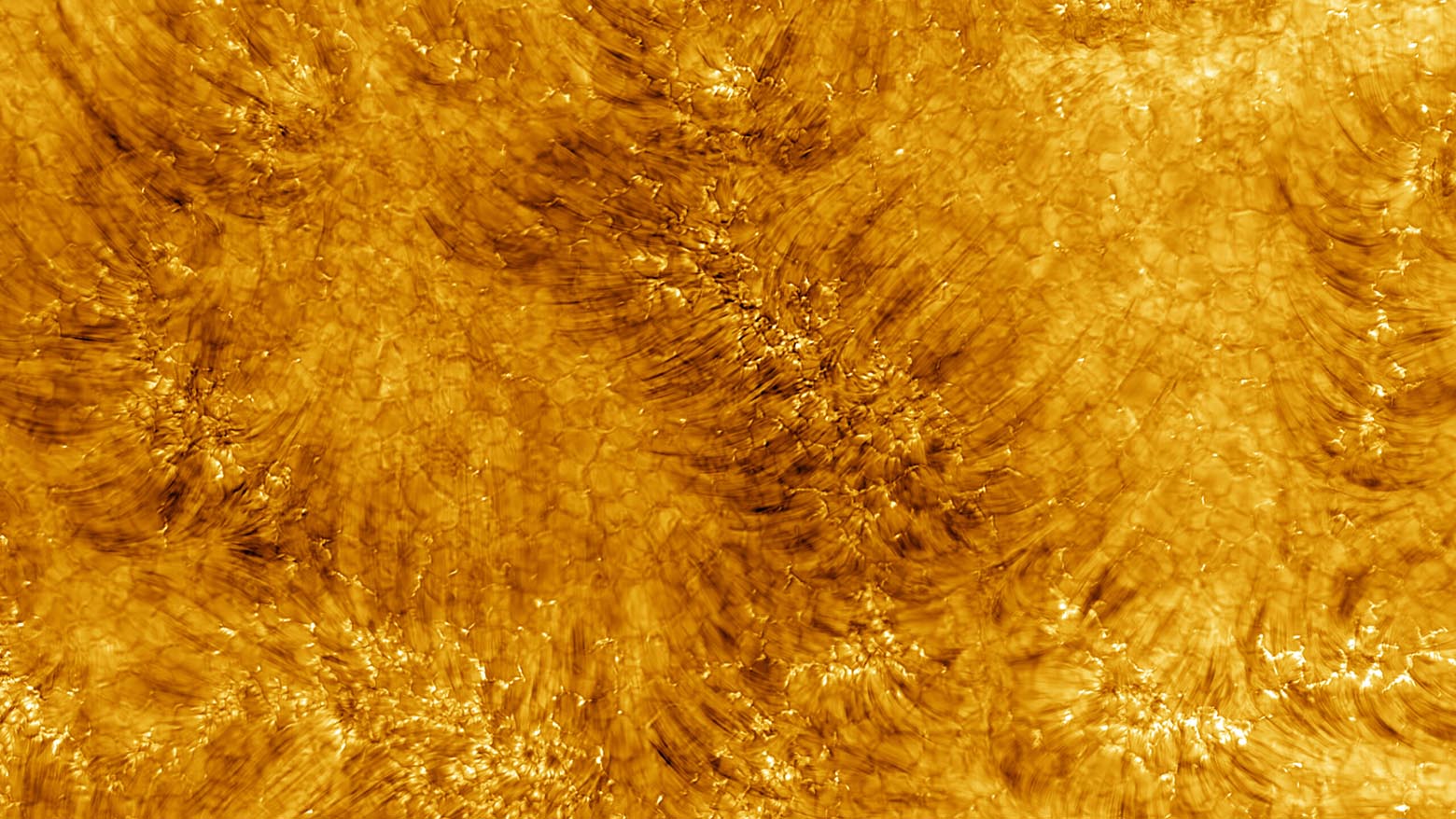 Посмотрите на фотографии Солнца в рекордном разрешении