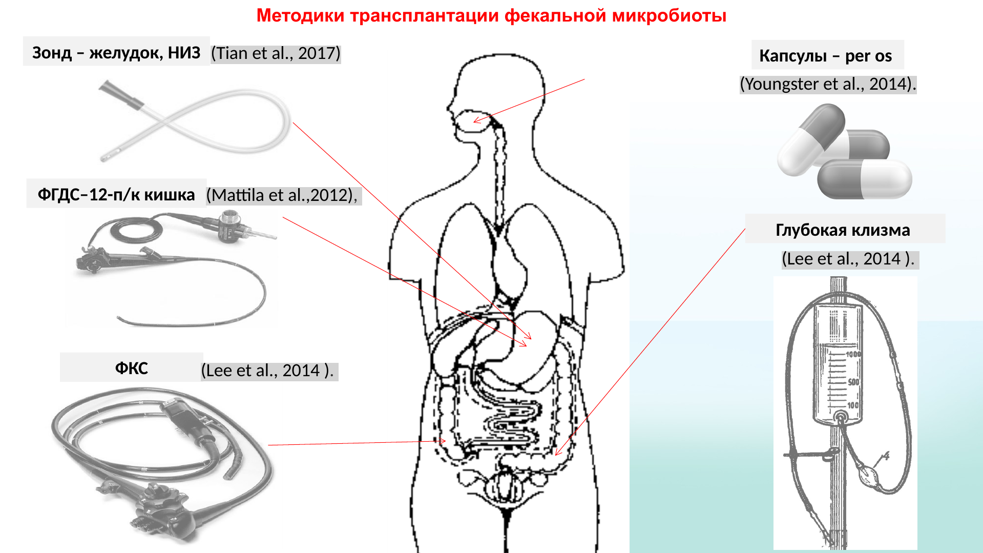 Трансплантация фекальной микробиоты. Таблетки из кала. Трансплантация фекалий. Трансплантация кишечной микробиоты. Трансплантация кала группа.