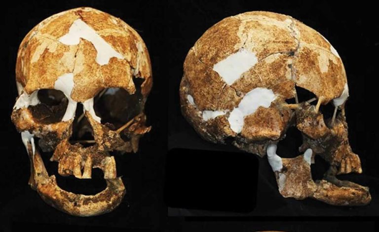 6 000-летний череп карлика подтверждает древнюю легенду о коренных жителях Тайваня