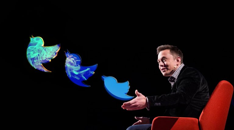 Неделя после покупки Twitter: что Илон Маск успел сделать с соцсетью