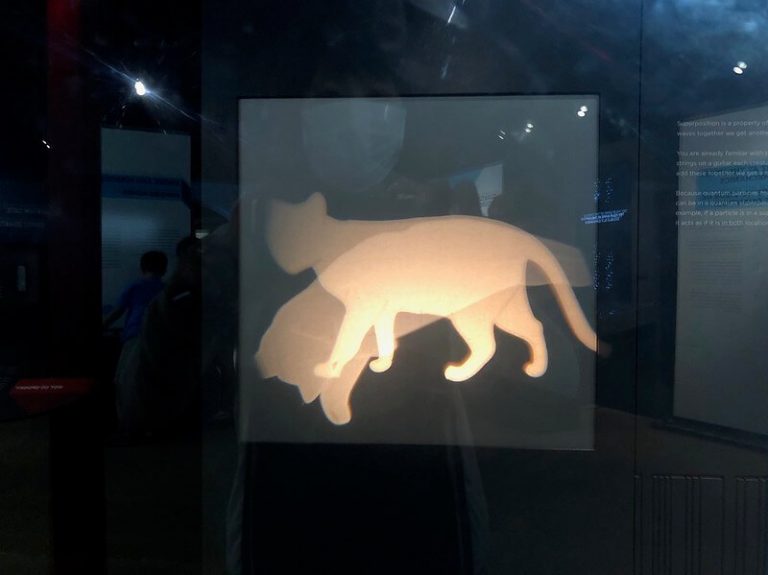 Ученые «обманули» время и отправили фотон в прошлое: как этот прорыв ...