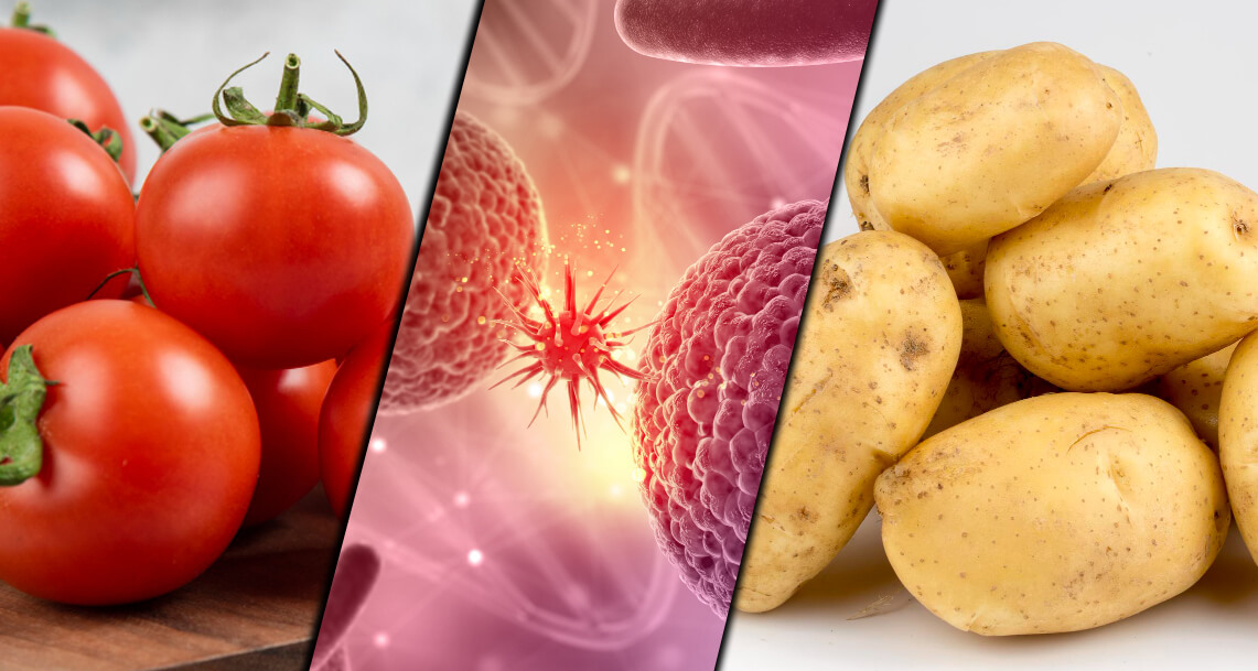 Лекарство от рака из овощей: насколько это реально и какие продукты могут помочь