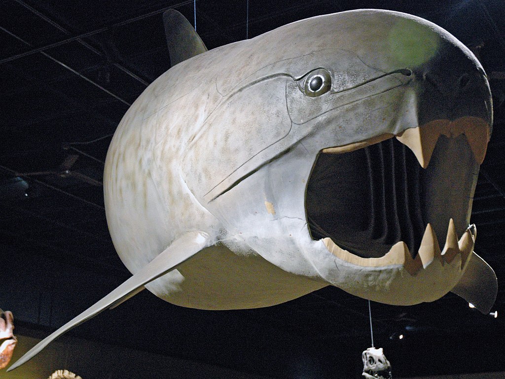 Самая известная древняя рыба-гигант оказалась не такой, какой думали ученые