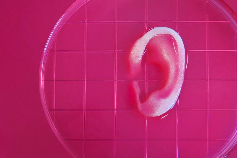 РНК-вакцины и 3D-печать органов: главные достижения биотеха. Карточки