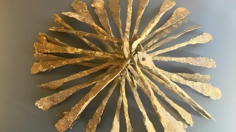 Редкий железный клад викингов возрастом 1 000 лет нашли в подвале во время уборки