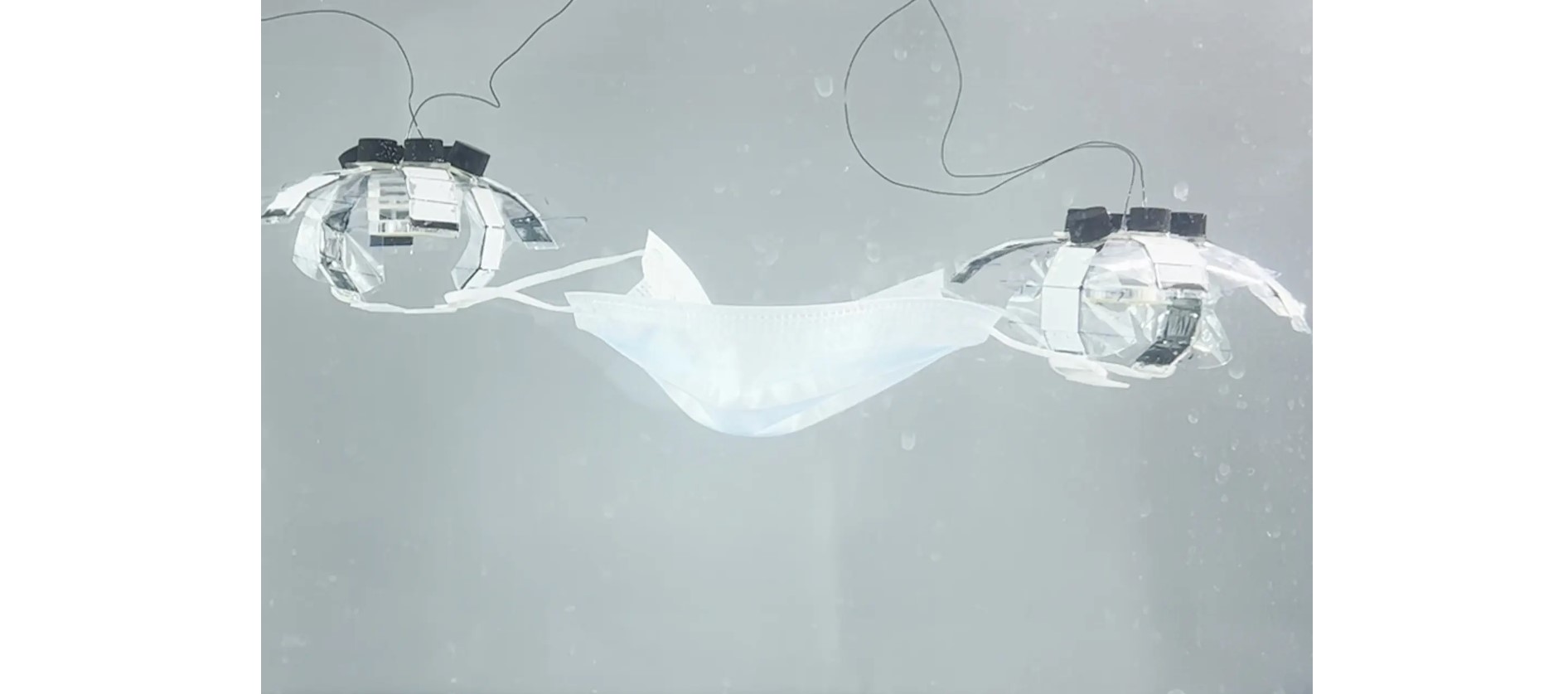 Созданы роботы-медузы для очистки океана и коралловых рифов от мусора