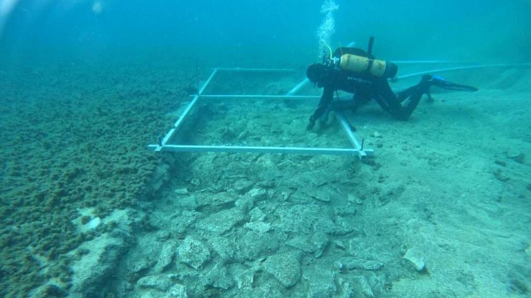 Дорога, построенная 7 000 лет назад, найдена на дне Средиземного моря