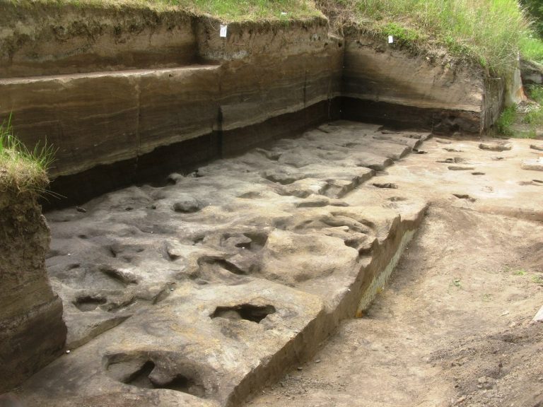300 000-летние следы человека нашли на территории Германии