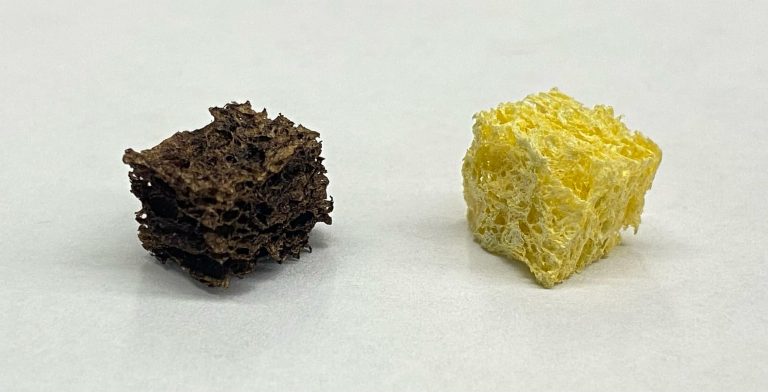 Многоразовая губка из целлюлозы удаляет из воды тяжелые металлы