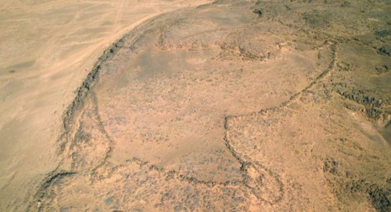 Найдены старейшие в мире чертежи: оказалось, им 8 000 лет