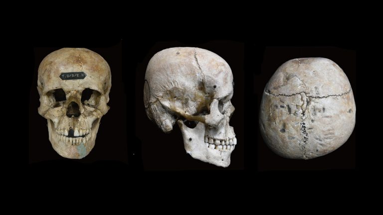 Японцы специально деформировали детские черепа 1 800 лет назад и ученые не знают почему