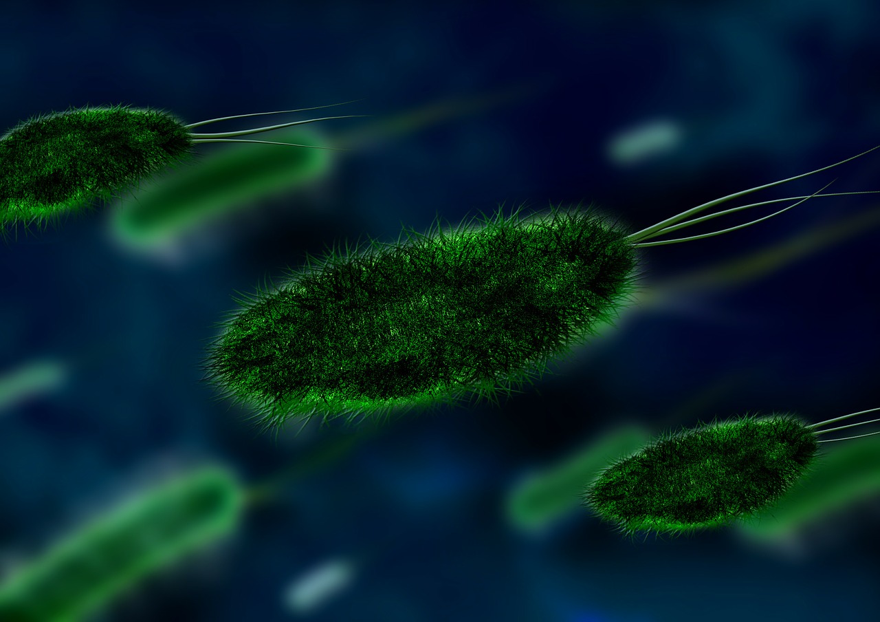 Молекулярный «клин» разрушает защиту бактерий от антибиотиков