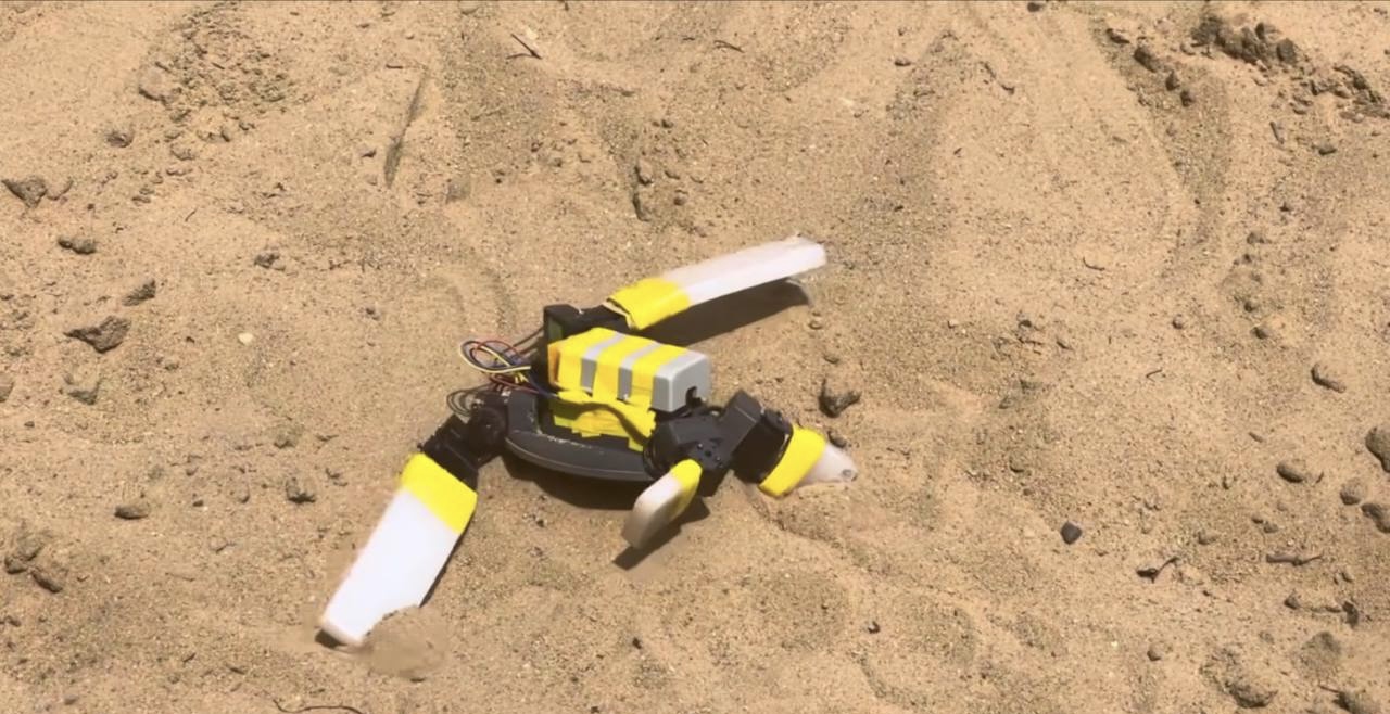 Посмотрите на робота-черепаху, который в будущем поможет детенышам ползти к океану