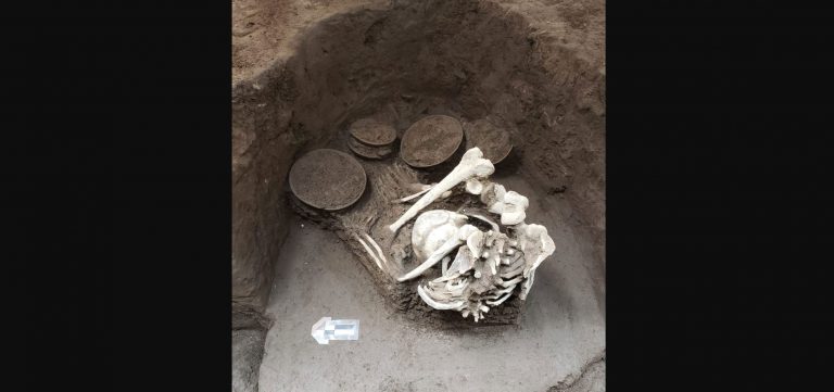 Затерянную 1500-летнюю деревню культуры Теотиуакана нашли в центре Мехико