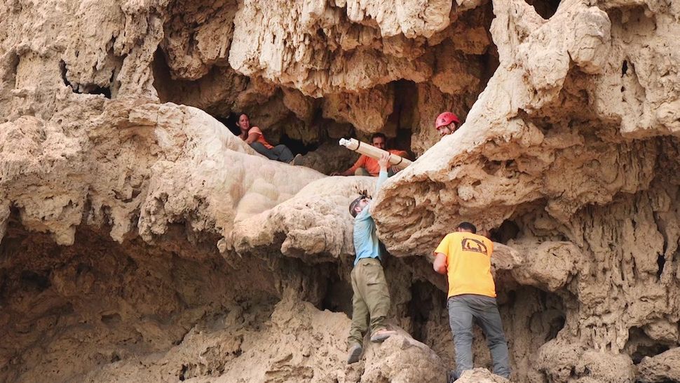 Археологи нашли в Израиле сразу четыре редких артефакта