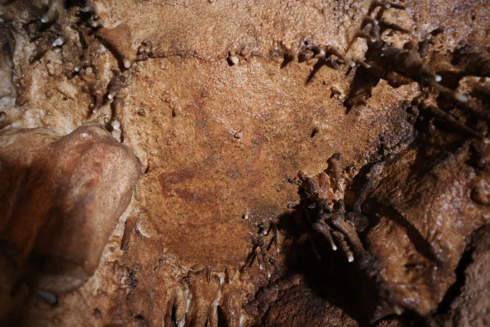 «Коллекцию» рисунков каменного века нашли на стенах пещеры в Испании