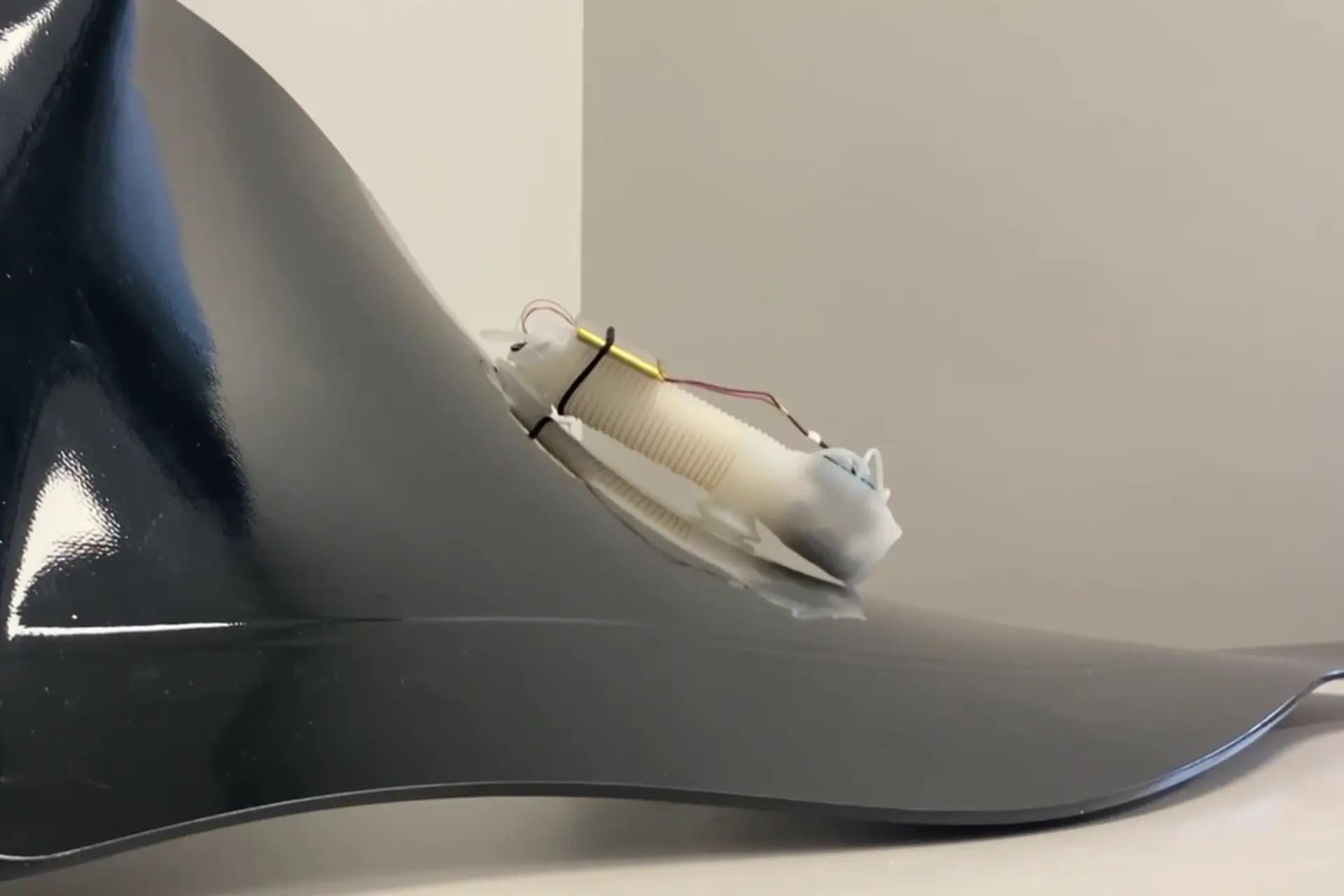 Инженеры разработали робота-червя для техосмотра реактивных двигателей