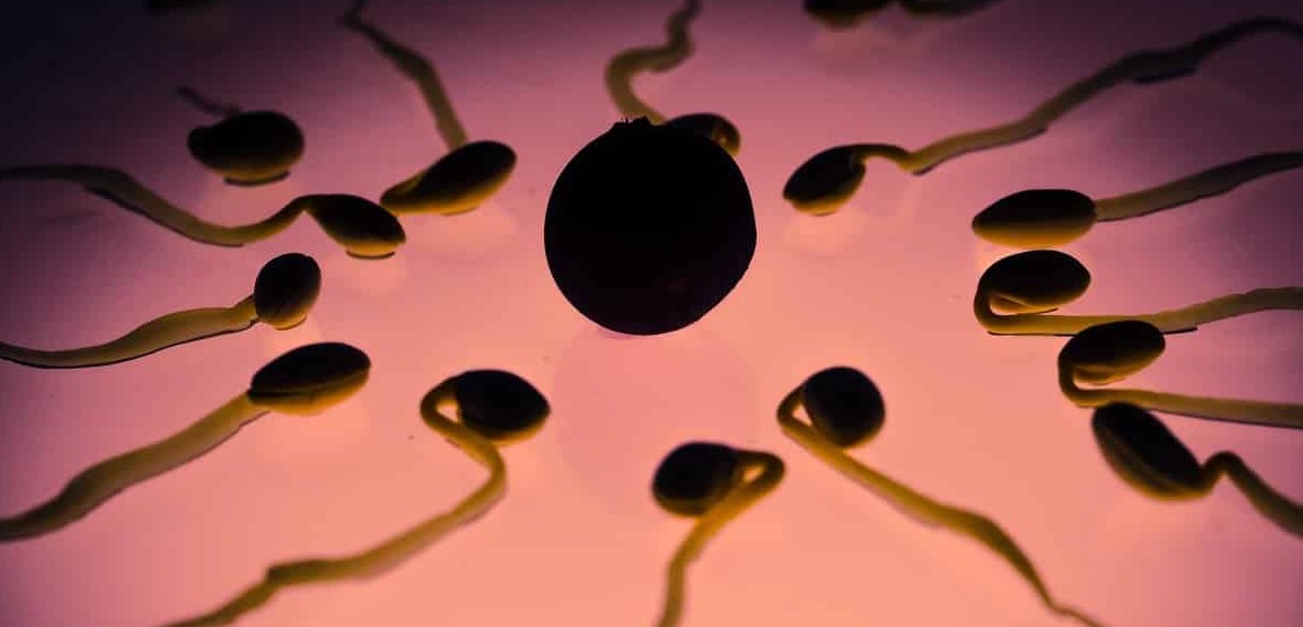 Как прокачать сперматозоиды, или 10 советов для будущего отца - Лайфхакер