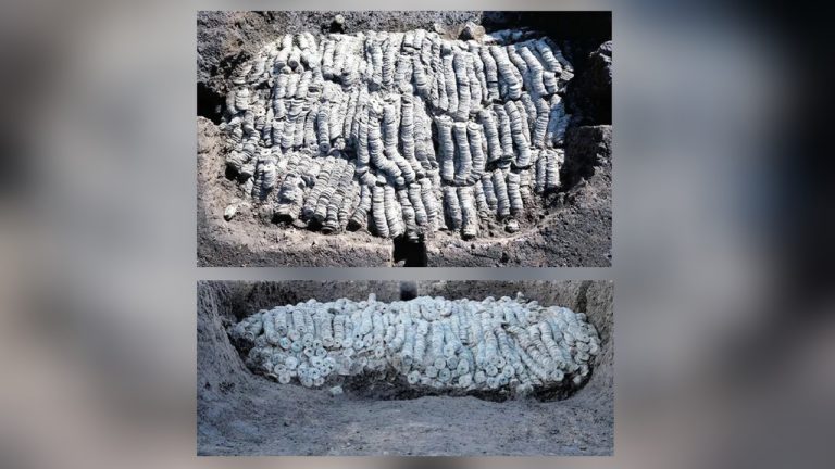 Найдена огромная сокровищница с тысячами китайских монет