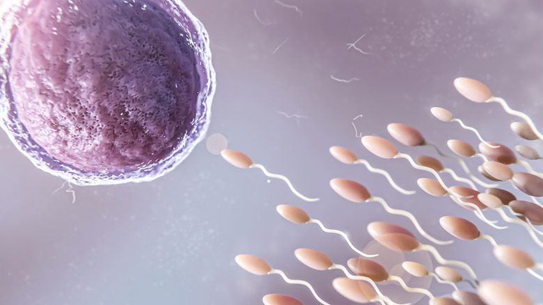 Что будет, если проглотить сперму? Можно ли глотать?