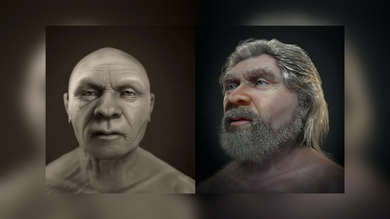 Эксперты показали, как выглядел 40-летний предок человека: его назвали «стариком»
