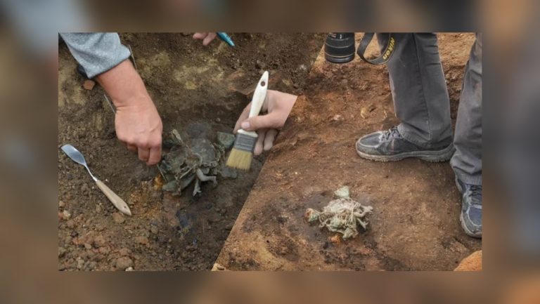 «Волшебный» талисман в форме фаллоса, который защищал от сглаза, нашли в Сербии