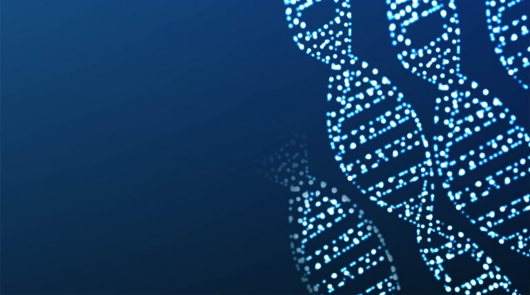 В клетках мышей нашли встроенную систему генной терапии