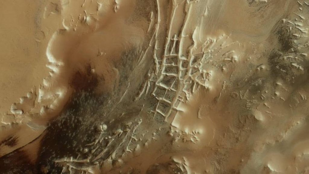 Посмотрите на сотни черных «пауков», которые заполонили Марс весной