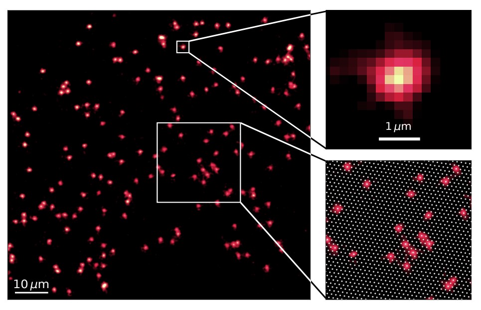 Физики наблюдали кота Шредингера — превращение атомов из частиц в волну