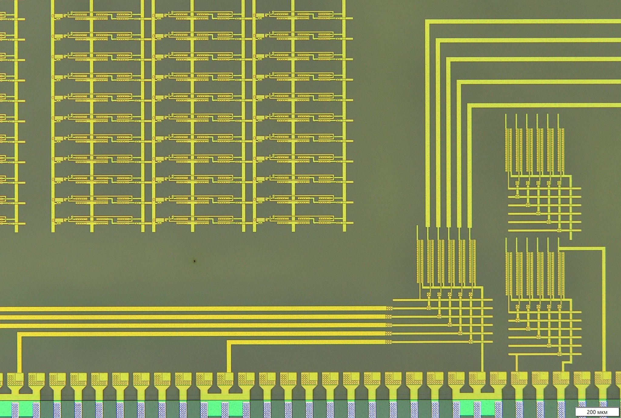 В России разработана уникальная интегральная микросхема: смотрим, как ...