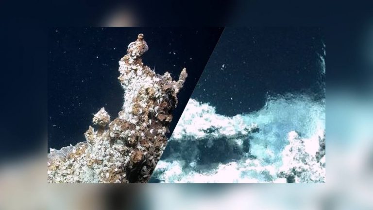 Новый подводный мир нашли глубоко в океане на краю Земли