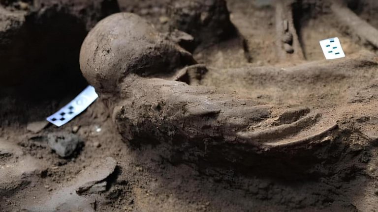 В Малайзийской пещере нашли скелет человека, который жил 16 000 лет назад