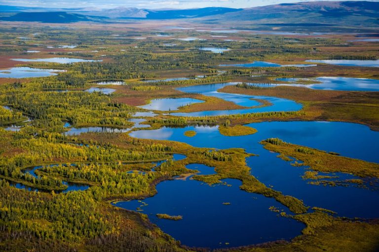 Болото вместо степи: выяснили, каким был мост между Евразией и Америкой
