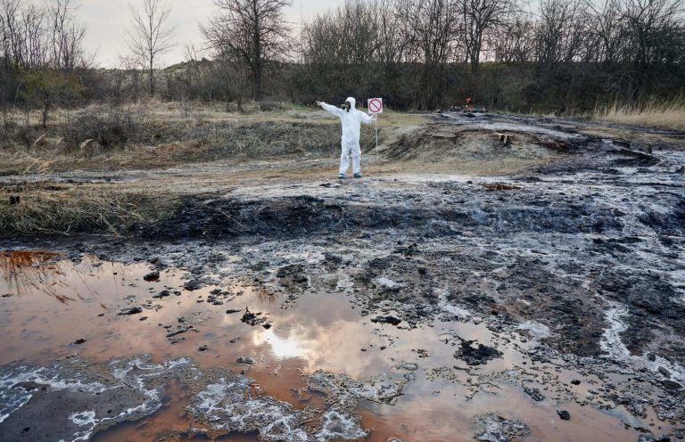 Китайские ученые превратили мох в губку, которая впитывает нефть