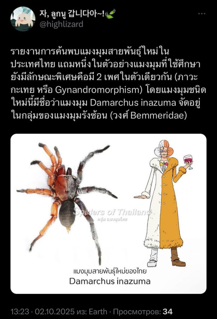 Двуполое существо нашли в лесах Таиланда