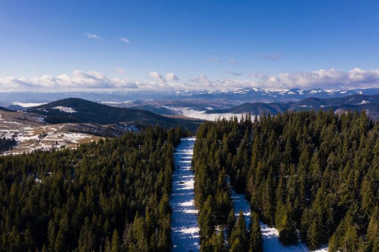 «Сибирский взрыв» накроет жителей восточной Европы в январе