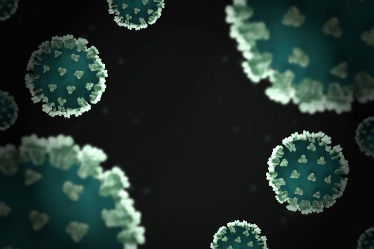 Женщина скончалась от неизлечимого вируса Нипах: что происходит