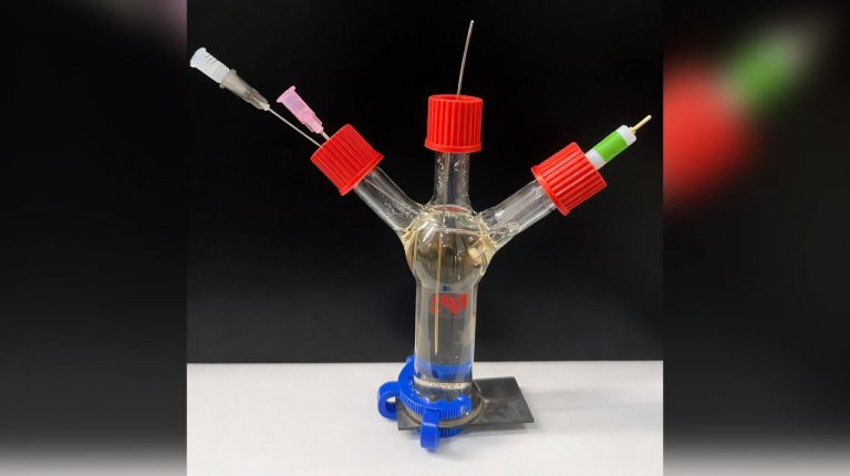 Бактерии научились сигналить электричеством о токсинах в воде и еде