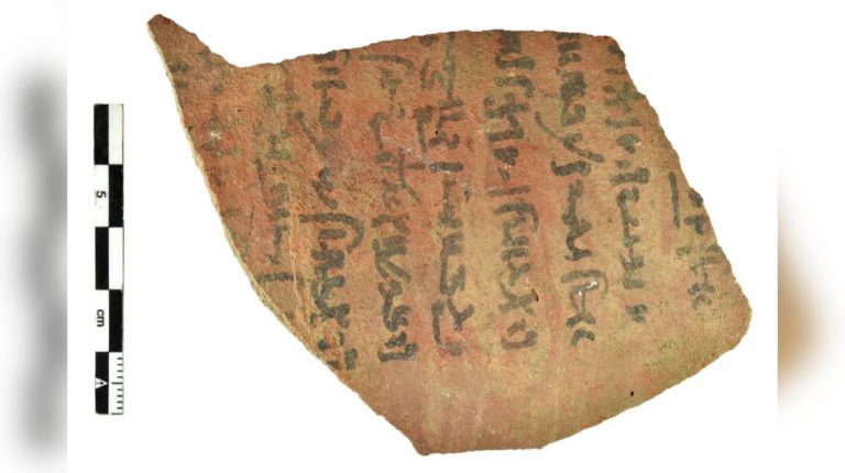 43 000 древних записей о налогах, покупках и списках дел нашли в Египте