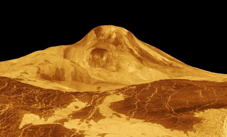 Оказалось, на Венере есть условия для жизни земных микробов