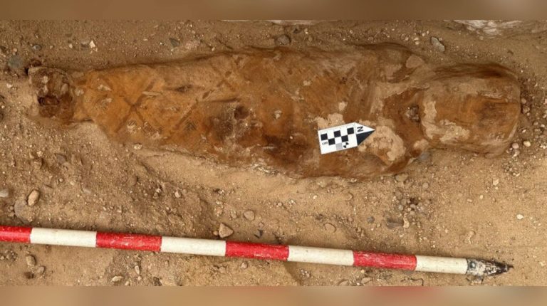 Внутри египетской мумии нашли отрывок из «Илиады»