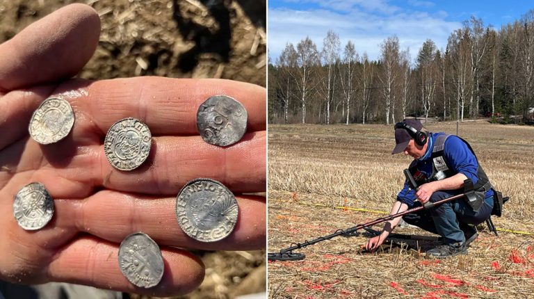 Крупнейший клад эпохи викингов нашли в Норвегии: больше 3000 серебряных монет