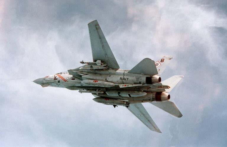 Истребитель F-14 Tomcat может снова подняться в небо США