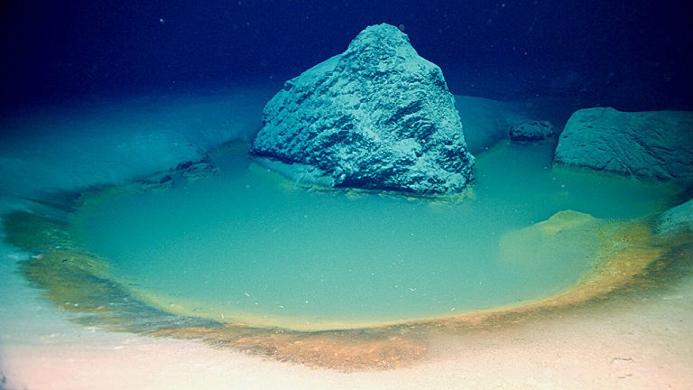 На дне Красного моря нашли колыбель древнейшей земной жизни