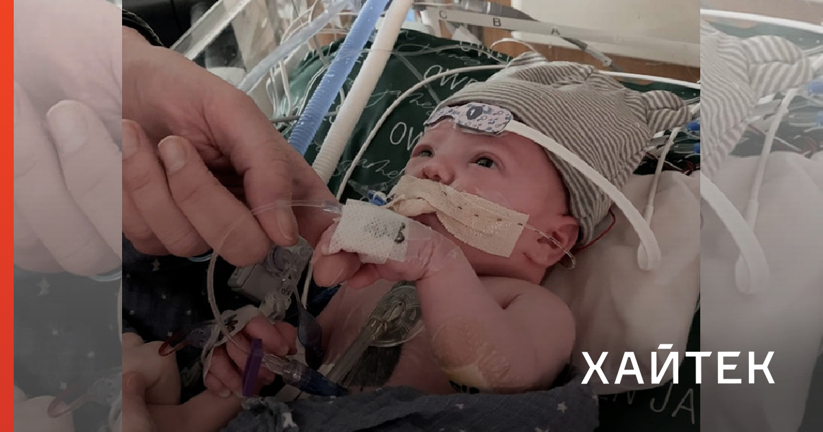 Клапаны сердца, пересаженные при частичной трансплантации, растут ...