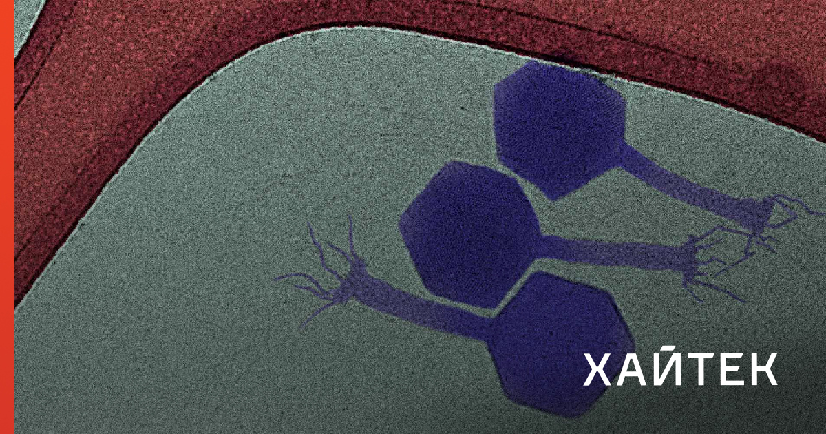 как упаковать стеклянные банки в посылку для отправки почтой россии. можешь отправить почте. список предметов, запрещенных к пересылке. как отправить стекло по почте. разбитые посылки почты россии.