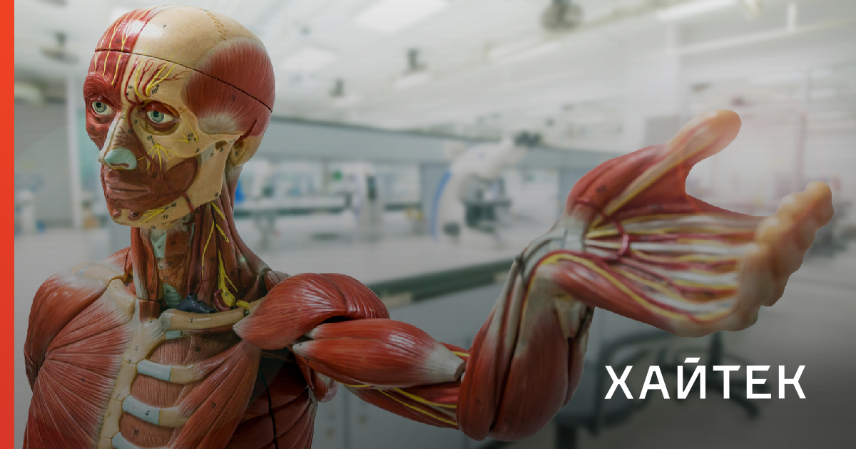 10 вопросов об анатомии, которые спрашивают дети