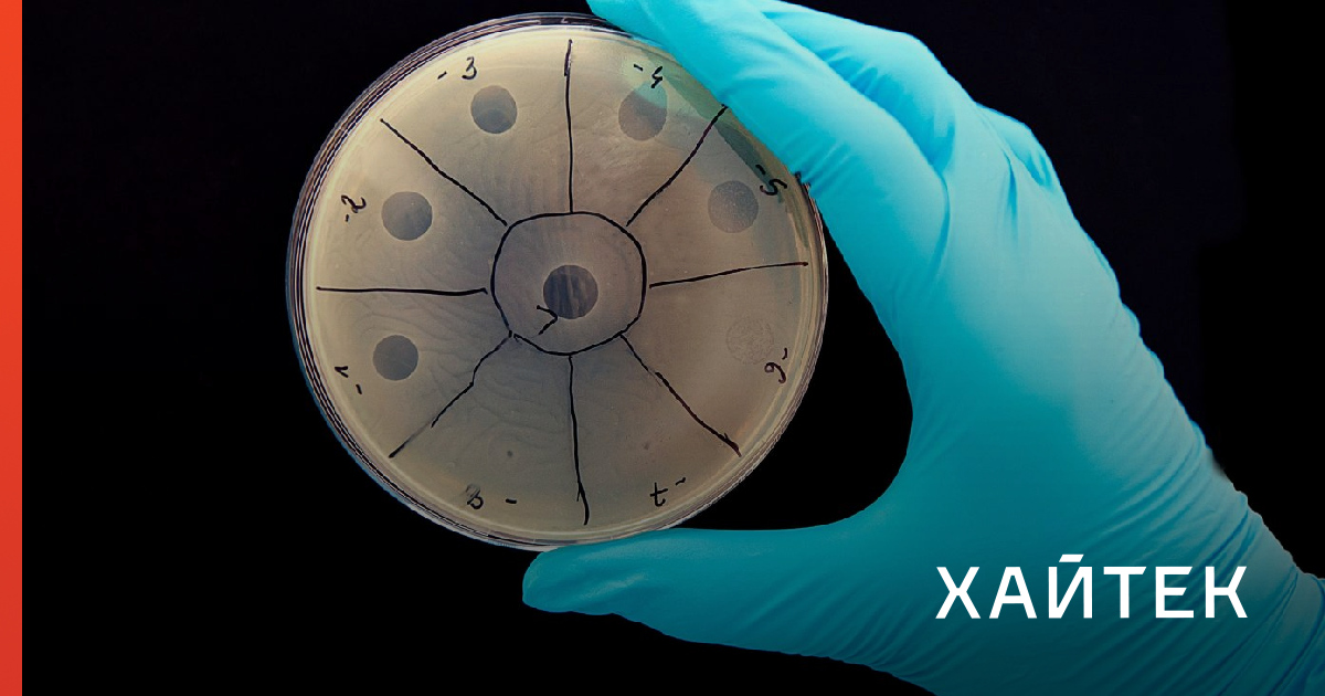 Ученые хотят заменить антибиотики программируемыми вирусами