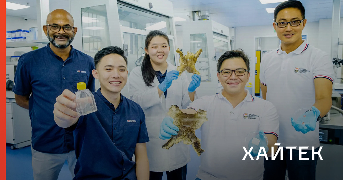 Из лягушек сделали коллагеновый пластырь для лечения трофических язв