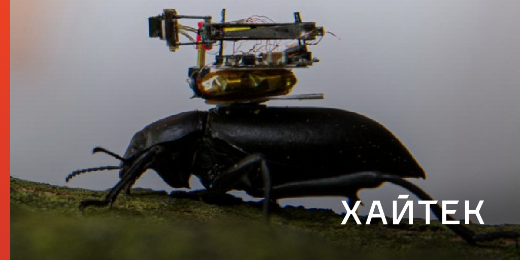 Dom2-da onlayn jinsiy aloqa videolari